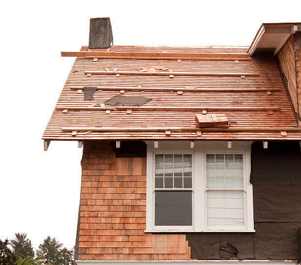 Best Storm Damage Siding Repair  in Alturas, CA