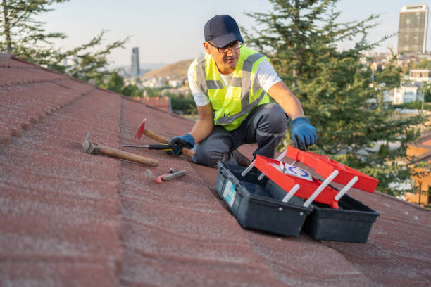 Best Stone Veneer Siding  in Alturas, CA